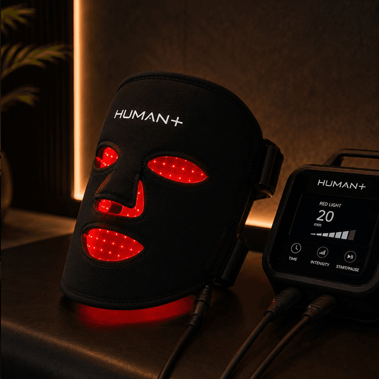 LED Mask